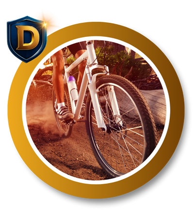 SEGURO DE BIKES